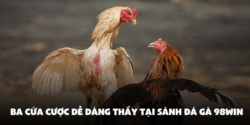 Ba cửa cược dễ dàng thấy tại sảnh đá gà 98Win