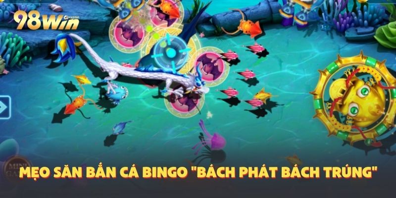 Mẹo phát tài và kiếm tiền dễ dàng từ bingo