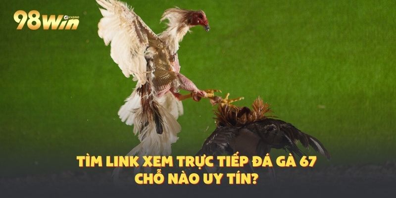 Link như thế nào thì là uy tín để cá cược