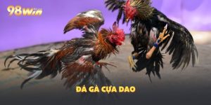 Đá Gà Cựa Dao: Sự Hấp Dẫn Của Với Cược Thủ 98Win