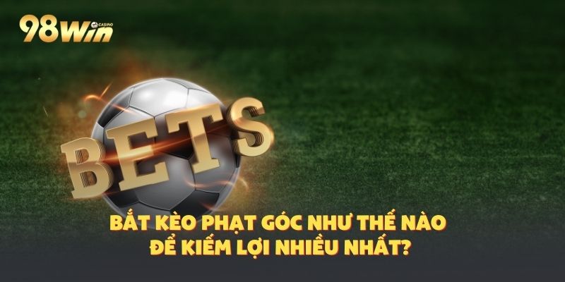 Vào cược như thế nào để được nhiều tiền về túi?