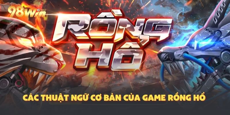 Thuật ngữ thường thấy ở Rồng hổ
